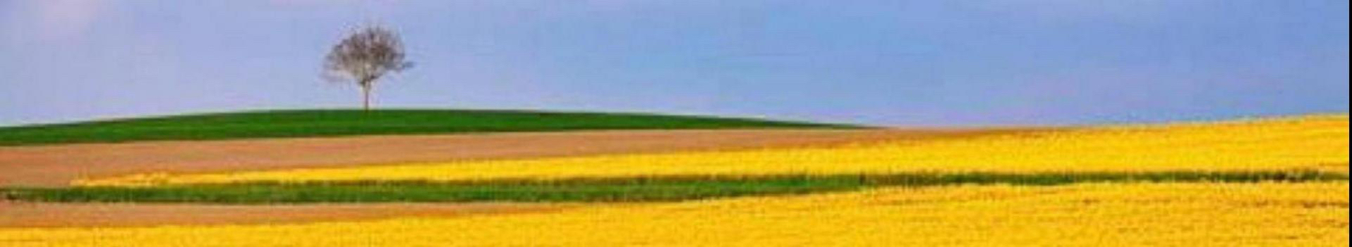 Natuur